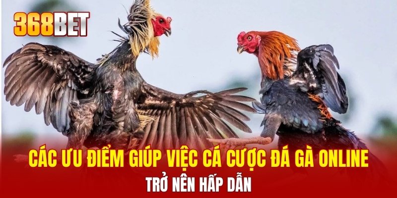 Các ưu điểm giúp việc cá cược đá gà online trở nên hấp dẫn
