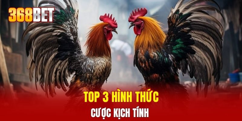 Top 3 hình thức cược kịch tính