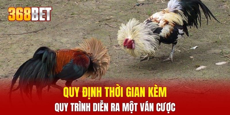 Quy định thời gian kèm quy trình diễn ra một ván cược