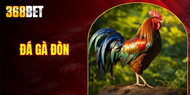 đá gà đòn