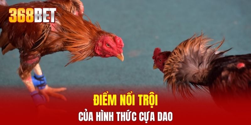 Điểm nổi trội của hình thức cựa dao
