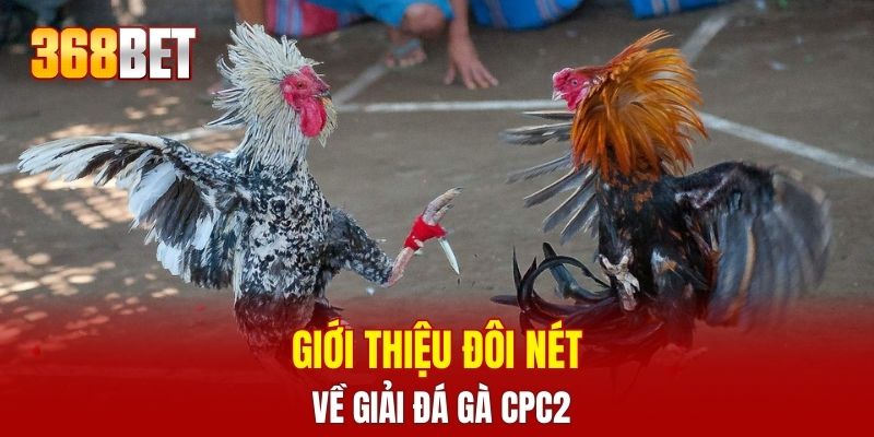 Giới thiệu đôi nét về giải đá gà CPC2