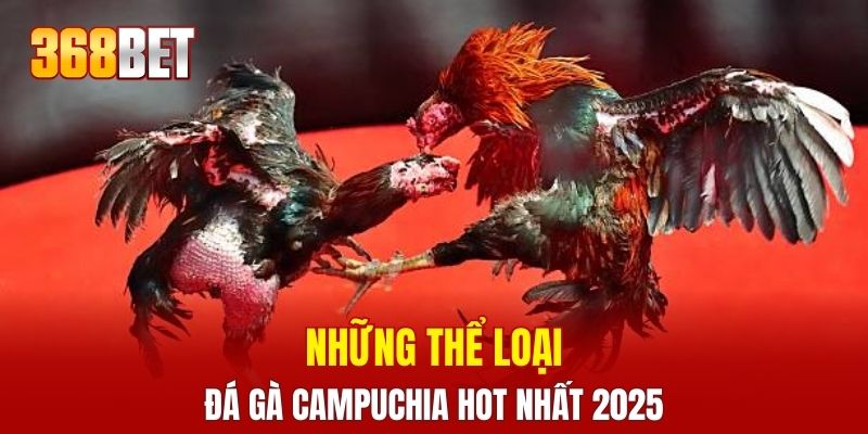 Những thể loại đá gà Campuchia hot nhất 2025