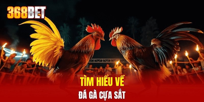 Tìm hiểu về đá gà cựa sắt