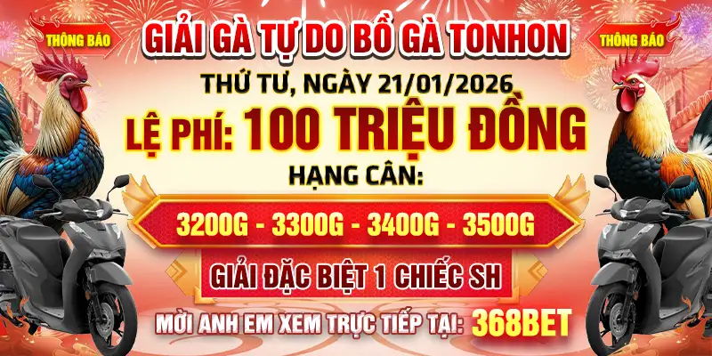 giải gà tự do bồ gà tonhon ngày 21/01/2026