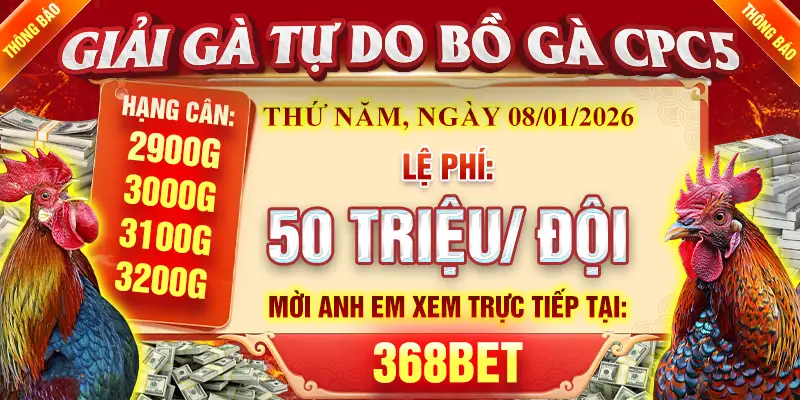 giải gà tự do cpc5 08/01/2026 368bet